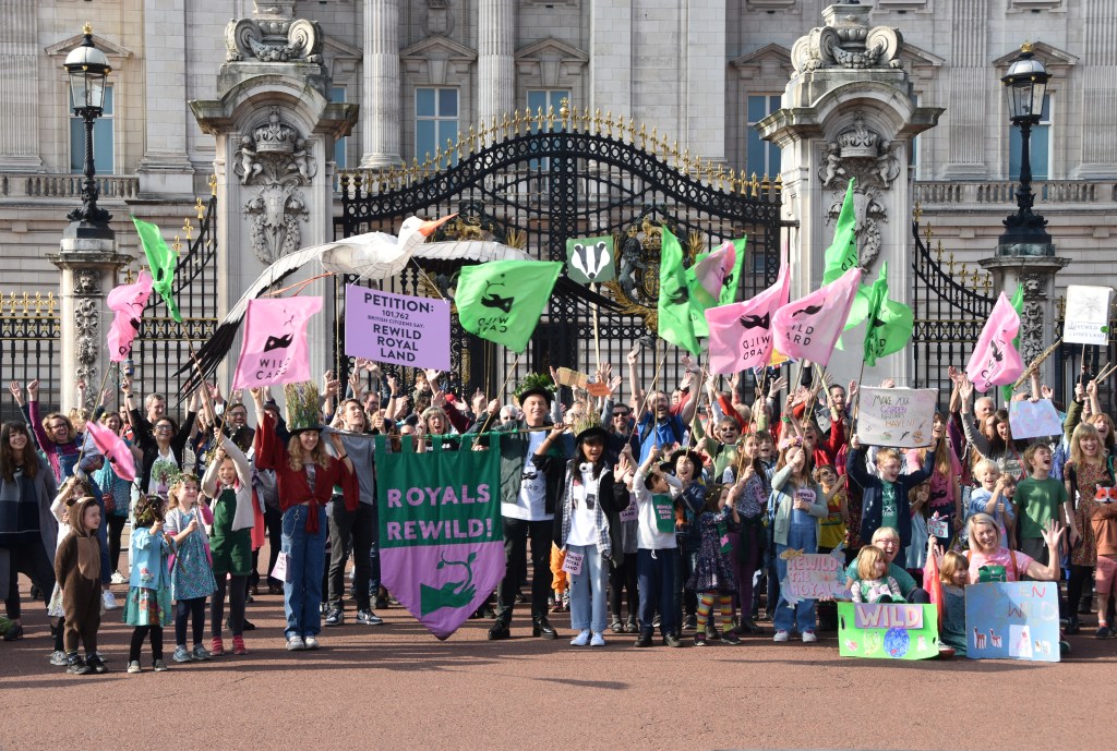 College strikers title on the Royals to rewild their land