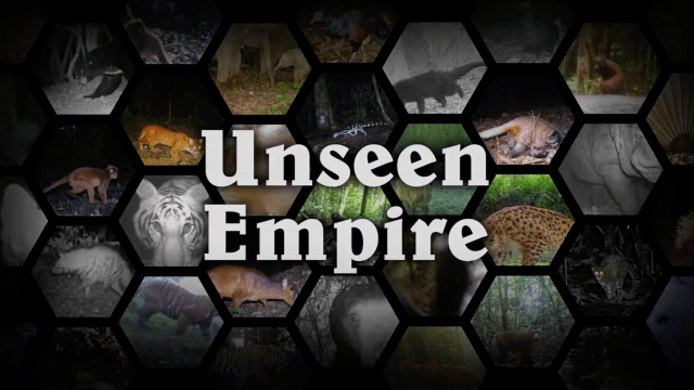 unseen empire trailer thumbnail