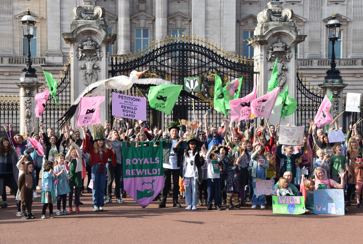 Royals rewild crowd cheer outside the gates of Buckingham Palace