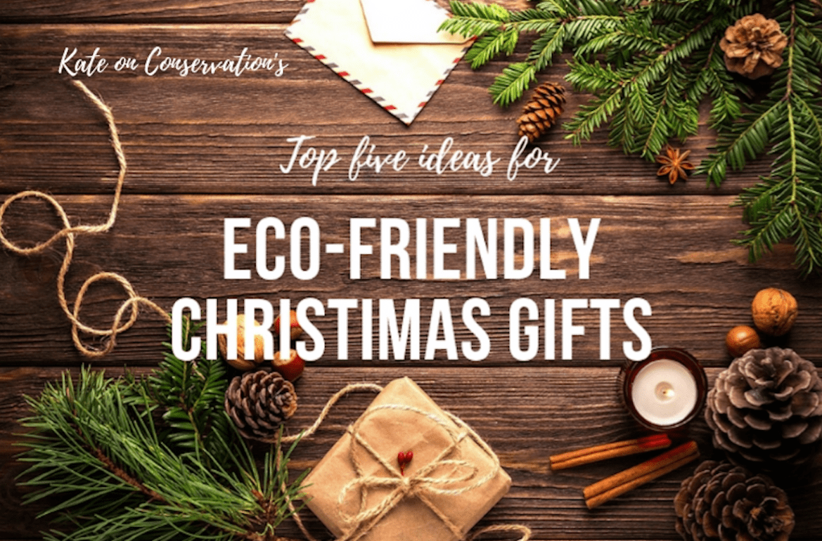 Kate-on-conservation-top-5-eco-friendly-gift-ideas