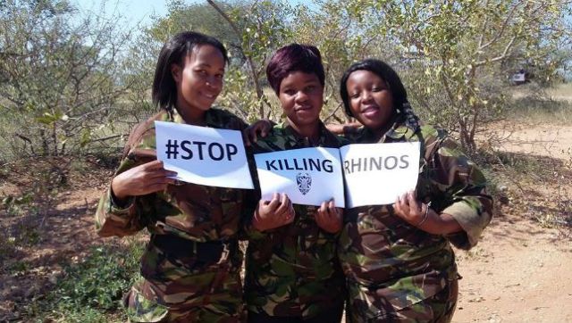 black mambas stop killing rhinos