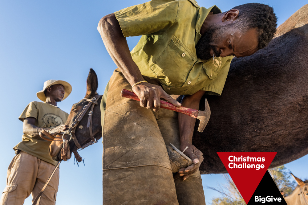 A Lifeline For Rhinos | Mule Patrol Unit