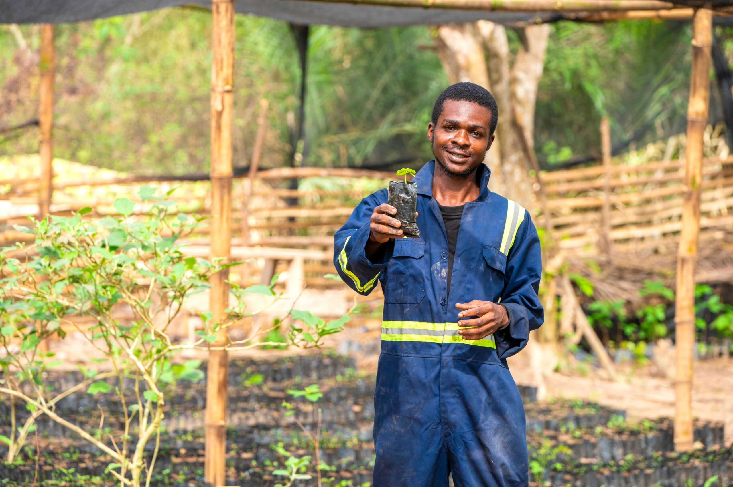 What Is Regenerative Agriculture? | Rainforest Alliance