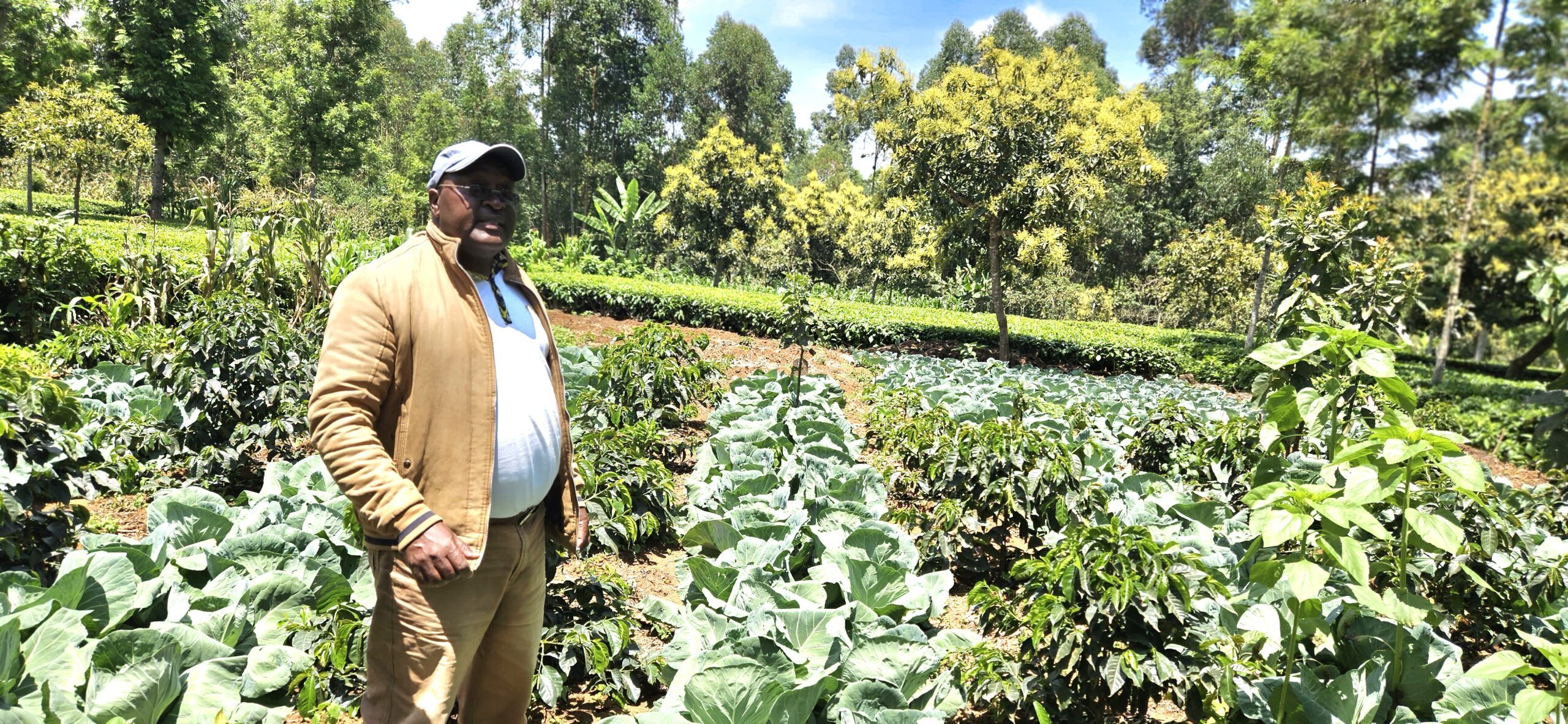 Two Farmers, One Regenerative Strategy: Success Tales from Mount Kenya