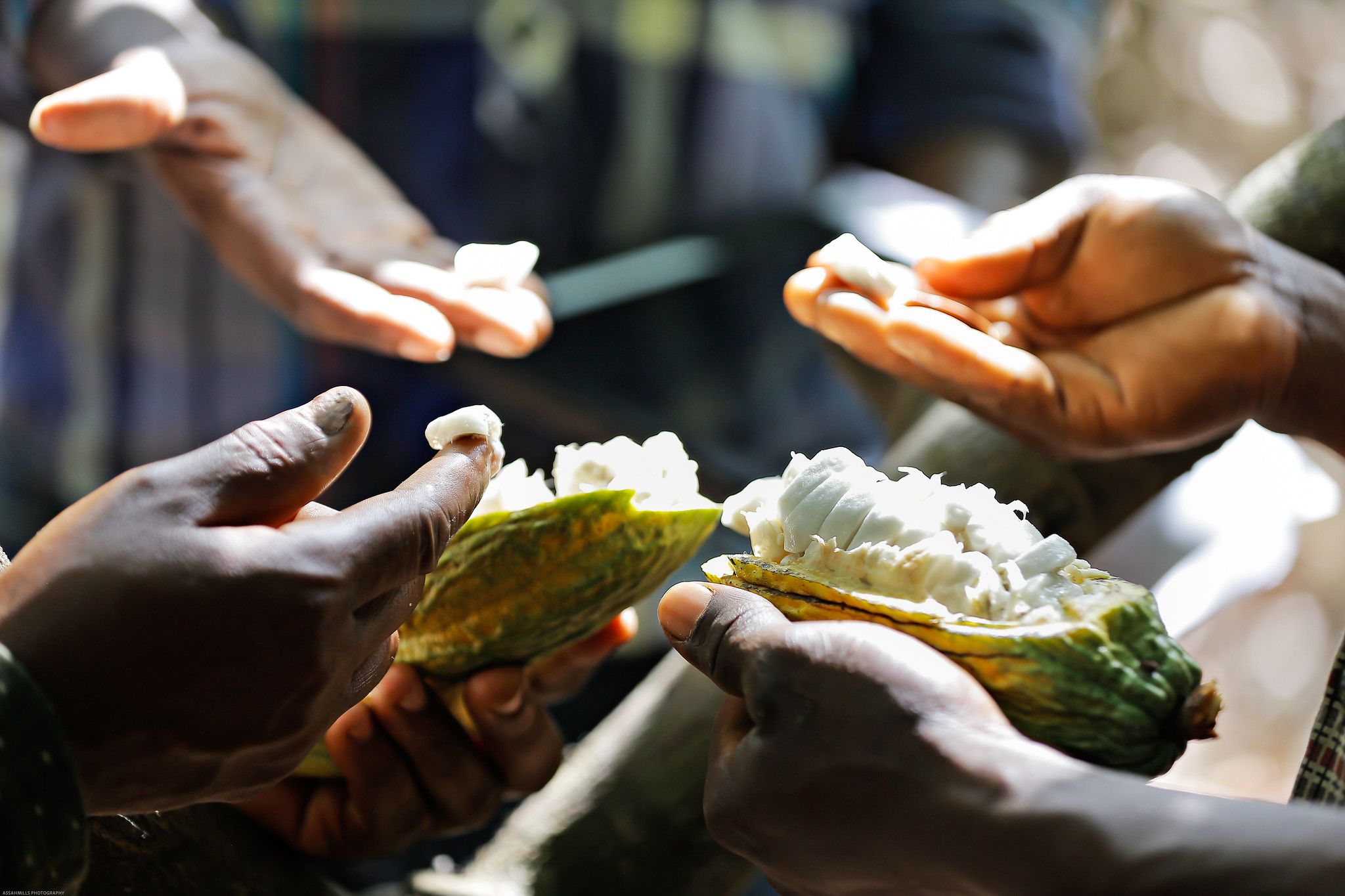 How We Tackled Little one Labor in Ghana’s Cocoa and Gold Communities